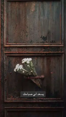 صباح الخير...🌾