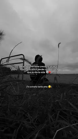 Tu recuerdo me mantienen vivo ama 🤍 #parati #mimama #teextrañotanto #hastaelcielo #dolor 