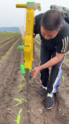 #fyp #loveyou #fypchallenge #foryou #fypシ゚viralシ