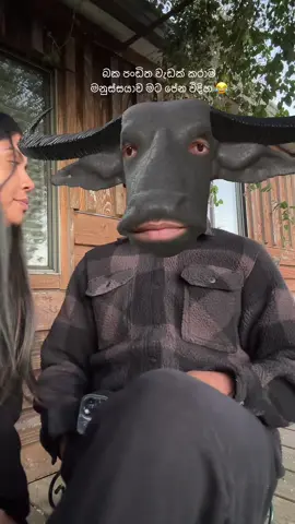 හැබැයි ලස්සනකුත් තියෙනවා 😂 #jokevideo #memeviral #sinhalajoke #sinhalatiktok #sinhalafunny  @chamika🇱🇰 