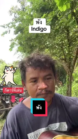 พัง Indigo #livehighlights #tiktoklive 