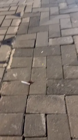 看上去在找打火机