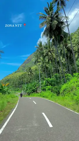 Jalan dengan view  seindah ini ada yang tau ini dimana #wisata #flores #alam #nttparide🌴🔥 #tiktokviral 