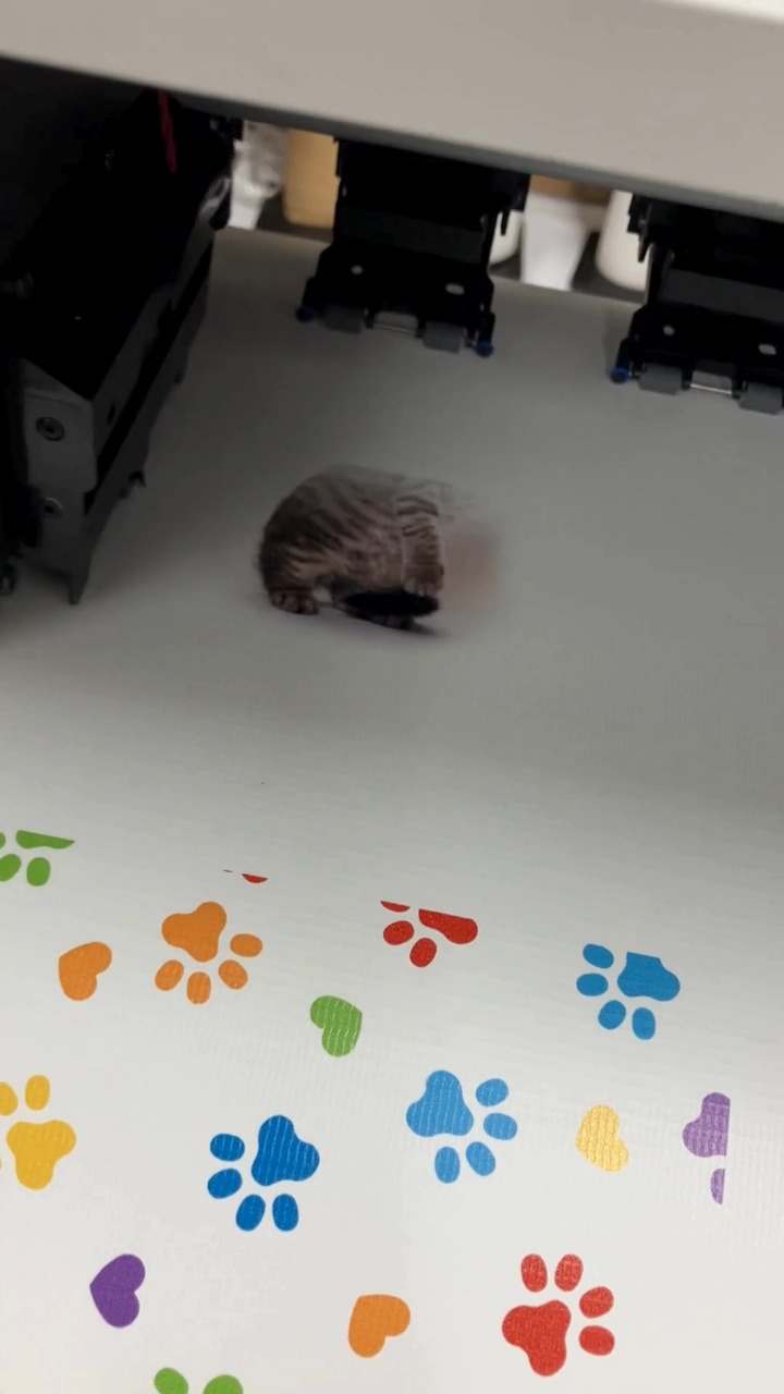横断幕、ステッカー、等身大パネルのご注文はこちら：https://vt.tiktok.com/ZSHW4XLABoDxp-TfAaC/