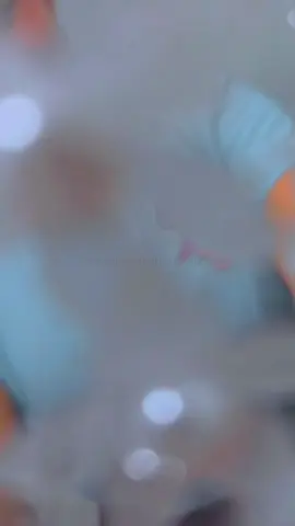 Floral hair pin✨️🔥♥️#paradiseexclusivesfiji🔥🔥 #lautoka_namaka_nausori_shops #good_value_great_style #Now_Available #tiktokfiji🇫🇯 