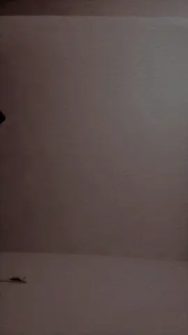 #kbi chahat thi Meri..tumko paany ki #ayetal22 #foryou 