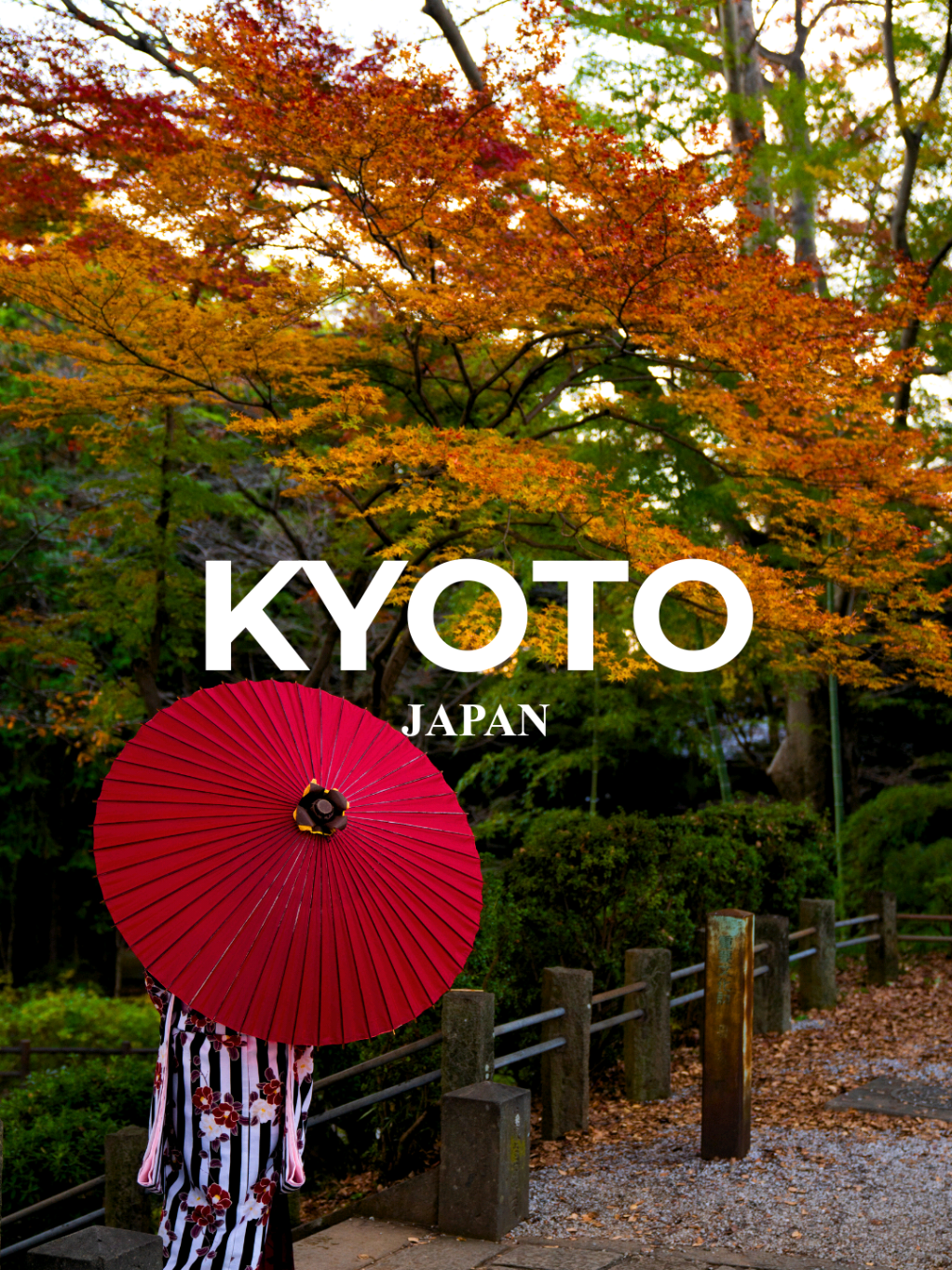 Kyoto京都  #fyp #travel #kyoto #tokyo #japan 