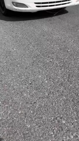 ولو بينا إيه 