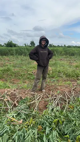 Khi bố con @FB : Hờ Mân (yạ gâuu)💦 đi nhổ mi kiểu 🤣🤣🤣@AMAMÂN 