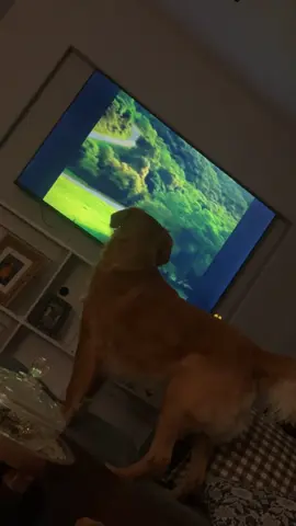 I guess he didn’t like that….🤣🤣