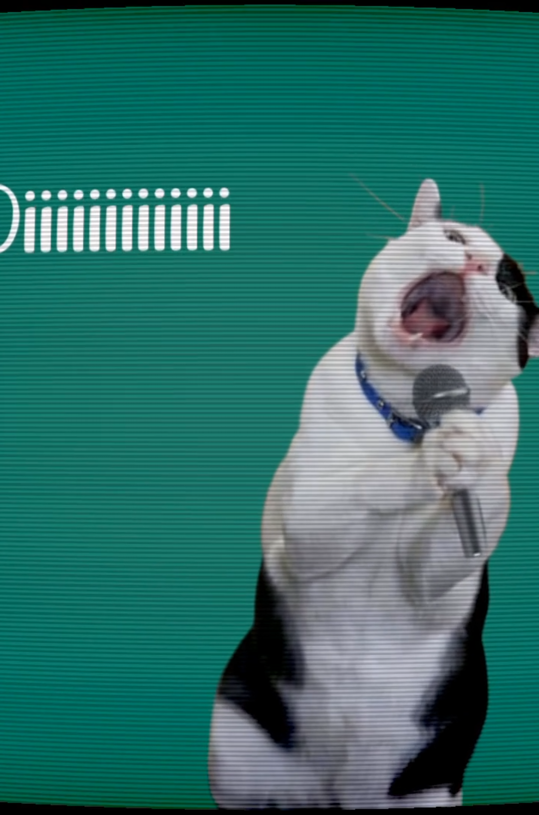 ASSALAMU ALAIKUM 🫡 #foryou #trending #vairal #copylink #tiktok @TikTok @For You 