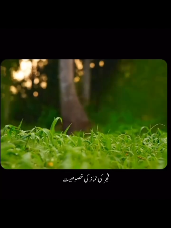سبحان اللّہ #tableeghijamaat #foryou___foryou___fpryou #چل_دین_کی_تبلیغ_میں #تبلیغی_جماعت #viral_video_tiktok 