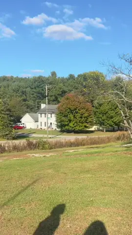 House and land hunting. Here’s option 1. Please let me know your thoughts 😭 the second house is so weird but itll be entertaining 