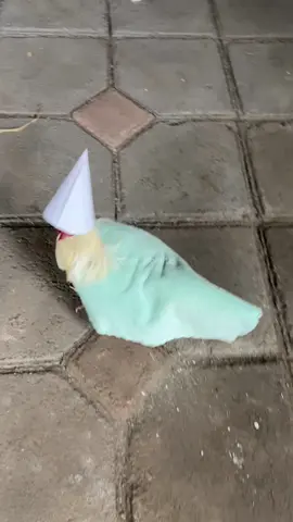 Duende captado en cámara 📸 (IG:@es_albinita) 