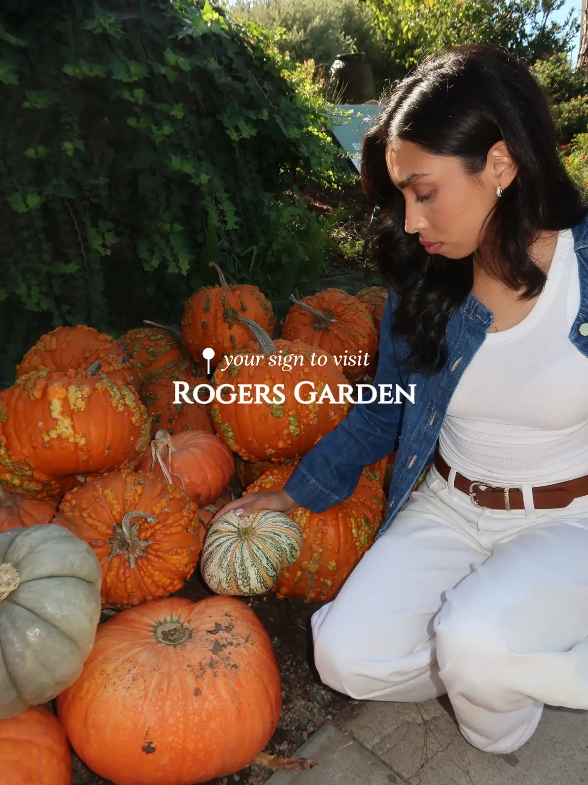 The cutest place! 🎃🤎🍂  #rogersgardens #fallaesthetic #halloween #halloweentown #fyp 