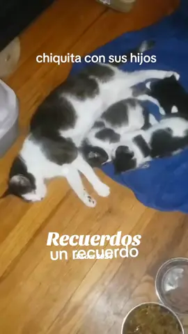 #recuerdos ellos no merecen el abandono ni maltrato #hashtag #tiktok 