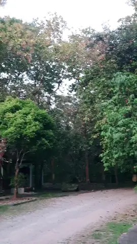 #เทรนด์วันนี้ #tiktok #😊 