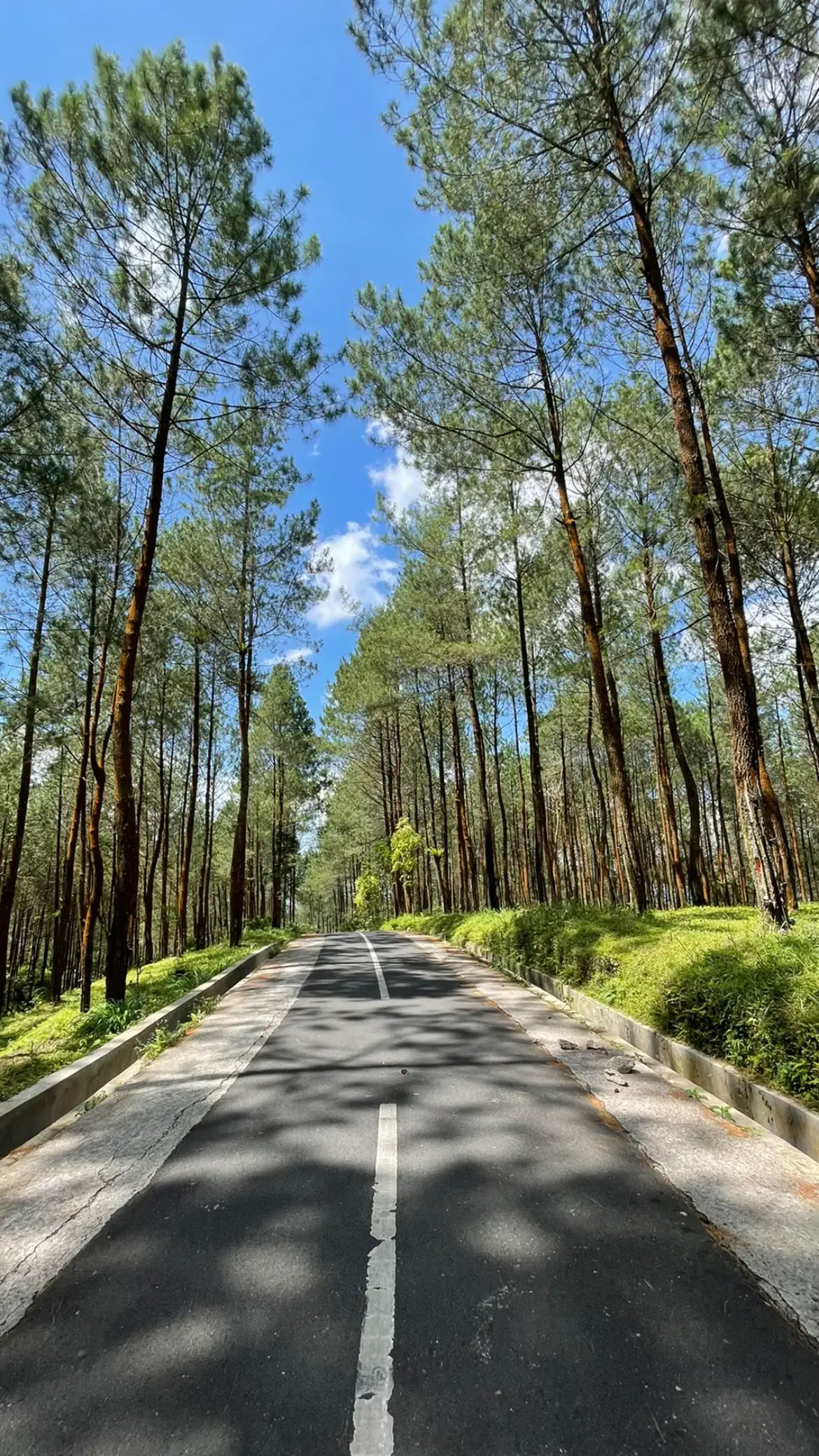 #alam #wonosobo #masyaallahtabarakkallah 