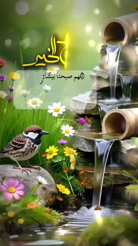 #صباحكم_أحلى_صباح🌹🌹 