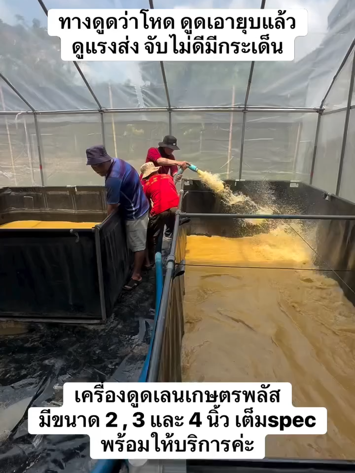💪 ใช้งานจริงแรงจริง! ลูกค้าทดสอบแล้ว บอกเสียงเดียวกันว่า “แรงทั้งดูด แรงทั้งส่ง” ไม่ว่าจะเจอ เลนเหนียว ทรายหนืด หรือโคลนแน่น — ดูดหมดไม่มีเหลือ 📍 สนใจทดลองก่อนตัดสินใจ นัดคิวได้เลยค่ะ 📲 โทร: 098-537-9614 | 0800-800-522 | 0800-800-766 | 089-876-7656 💬 Line Official: @kasetplus #เครื่องดูดเลน #เครื่องสูบเลน #เกษตรพลัส #สูบบ่อ #สูบสระ #เกษตรพลัส #เทรนวันนี้มาแรง #บ่อขึ้นทรงพลาสติก #เทรน #เทรนวันนี้ #พลาสติกเกษตร #ขายของออนไลน์