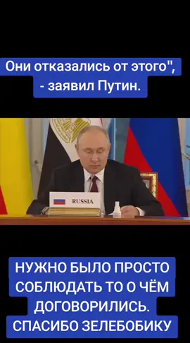 СТРЕЛЬНА, 17 июн - РИА Новости. Президент России Владимир Путин представил африканской делегации проект стамбульского договора по украинскому урегулированию, где, как заявил президент РФ, было прописано все: от количества вооруженных сил до единиц боевой техники и личного состава. 