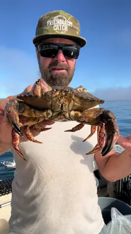 THE ULTIMATE Barnacle Chronicles #asmr #friendliestcatch #barnaclechronicles 