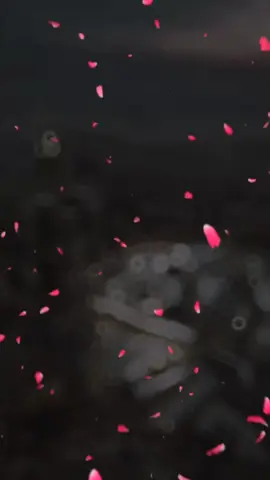 drud phr lo #repostplease🥰 #llovemuhammadsaw💞💞💞💯💯💯💯💯💯💯💯💯👆👆👆 #repostplease🥰 #llovemuhammadsaw💞💞💞💯💯💯💯💯💯💯💯💯👆👆👆 