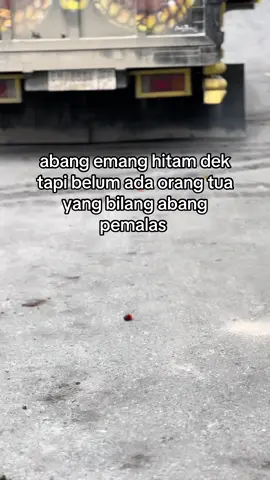 #brandatiktok #viral 