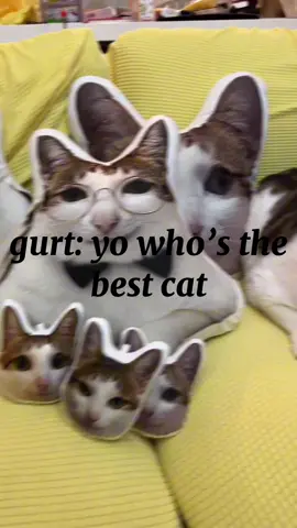 uncle baobao edit #unclebaobao #unclebao #cats#edits#fyp 