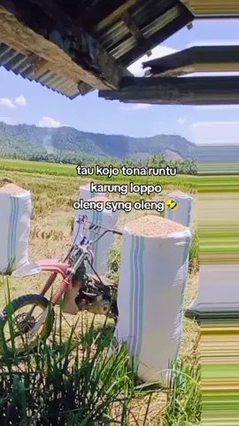tanya itu pammeja klo enda narubah isi karung nya bobok cantik itu anggota 😂🤣#foryoupage #anakpetani🌾 #bonselfamily🔥 #yglagitrendfypppppplewatberandamu 