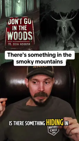 There's something in the smoky mountains #ghoststory #creepystorytime #spookystory #scarystories #smokeymountains 