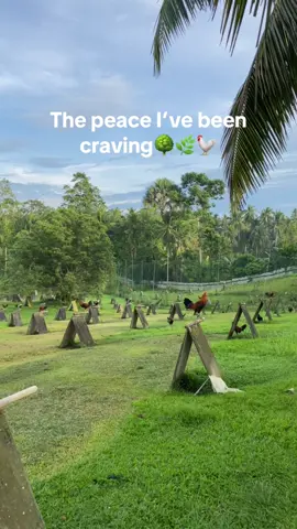 DMM SPARTACUS GAME FARM 