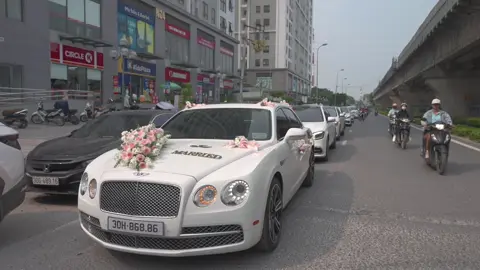 Dàn xe này đi đón Cô Dâu thì nhà gái đổ đứ đừ chứ nhỉ ae #xuhuong #tiktok #damcuoi 