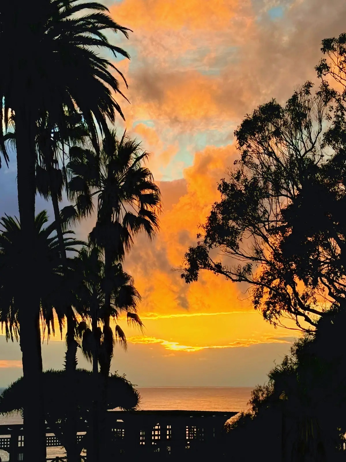Golden Sunset over Santa Monica Bay 