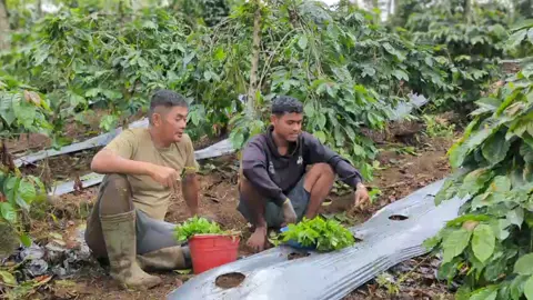 ACH x gayo#fyp #komediaceh #komedigayo