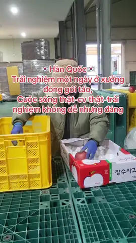 Xưởng táo cô chú anh chị ạ#hànquốc #cuocsonghanquoc #xuhuong #viral #chiasehuuich 