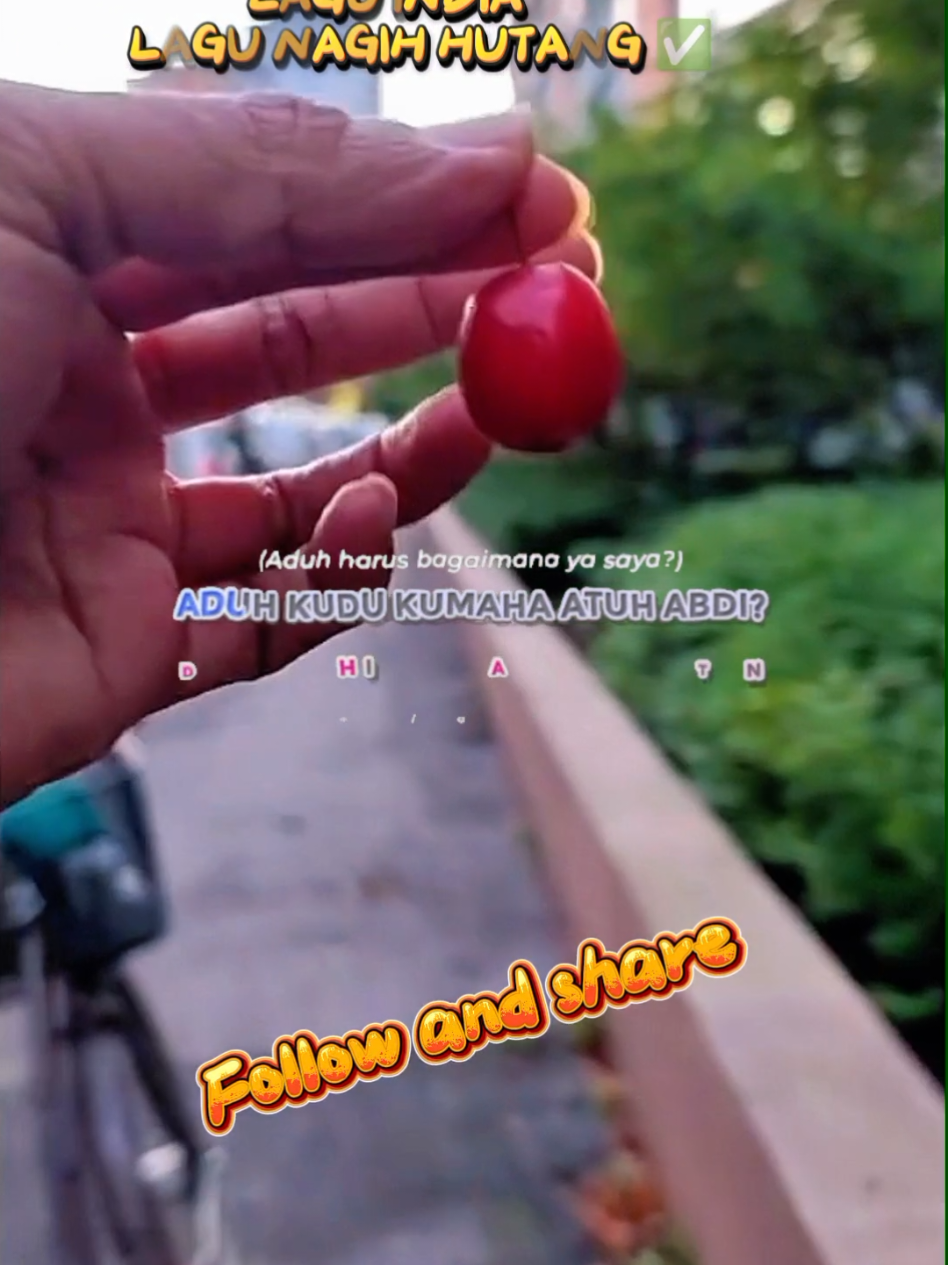 Membalas @ika.mila41  Balasan lagu nagih utang versi Sunda #laguindia #lagusunda #sundaindia #hiburan #masukberandafyp 