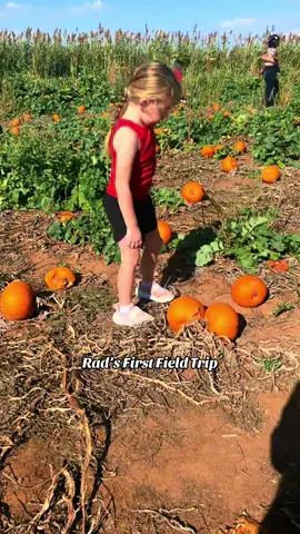 Loved being able to go on Radlie’s first field trip with her this year 🥰 Why do they grow up so fast 🥺 #pumpkinpatch #cornmaze #kinder 