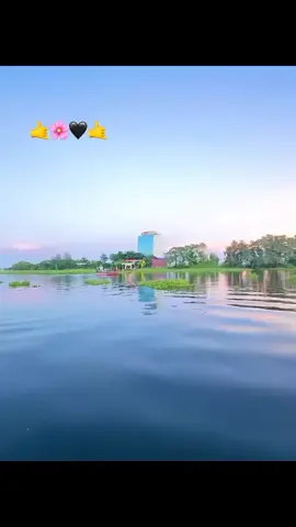 #🌼🌼🌼#নবীনাগরের-মেয়ে
