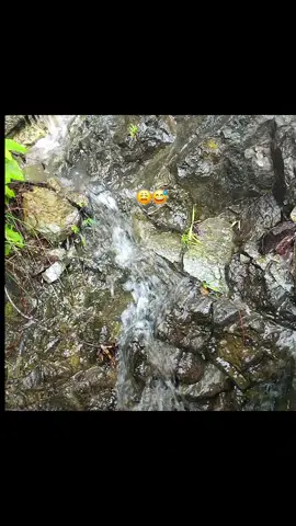 #guatemala🇬🇹 #elniñorana #elniñocoche ocoche 