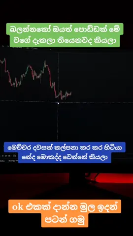 හරියට ඉගෙන ගන්න කැමතිනම් අදම මට  මැසේජ් එකක් දාන්න මුල ඉදන් කියලා දෙන්නම් #viral #srilanka #srilankan_tik_tok🇱🇰 #following #creatorsearchinsights 