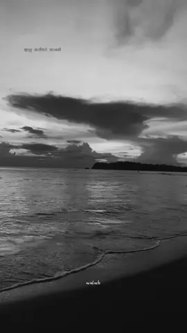 ආල තප්පර 💛 ! #sathsaraqutoes #fypシ #viralvideo #foryoupage #whatsappstatus 