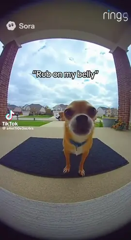 BRO I WAS LAUGHING SO HARD #rubonmybelly#fyppppppppppppppppppppppppppppppppppppppppppppppppppppppppppppppppppppppppppppppppppppppppppppppppppppppppppppppppppppppppppppppppppppp #fyppppppppppppppppppppppppppppppppppppppppppppppppppppppppppppppppppppppppppppppppppppppppppppppppppppppppppppppppppppppppppppppppppppp #fyppppppppppppppppppppppppppppppppppppppppppppppppppppppppppppppppppppppppppppppppppppppppppppppppppppppppppppppppppppppppppppppppppppp #fyppppppppppppppppppppppppppppppppppppppppppppppppppppppppppppppppppppppppppppppppppppppppppppppppppppppppppppppppppppppppppppppppppppp 