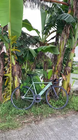 capcut being greedy lately blud #fyp #fixiegearphillipines🚴 #foryoupage #fixedgearcambodia🇰🇭 #fixiepinas 