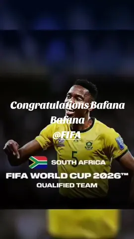 #bafanabafana #fifaworldcup #southafrica 