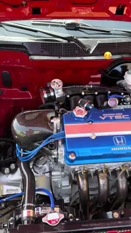 My civic B Series 🫶🏻🇵🇷🌴 #honda #civic #bseries #jdm #cars 