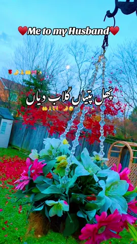 #پُھل پتیاں گُلاب دیاں ہتھ جوڑ منگاں رب توں  لمبیاں عُمراں جناب دیاں🙏🤲🌹👩‍❤️‍👨🤌😘🫂😇♥️🌹🦋🎀✨ #husbandandwife #couplegoals #couplestiktok #foryoupage 