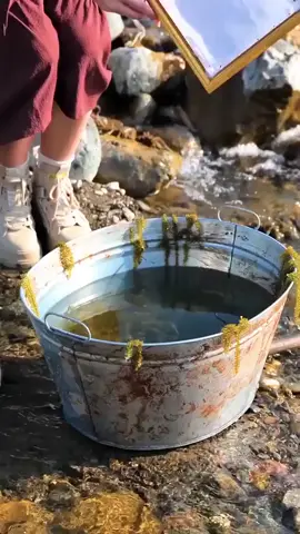 #সবাই_কপিলিংক_রিপোস্ট_শেয়ার_করুন_প্লিজ 