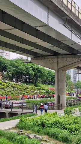 ကိုယ့်အတွက်ပဲ သေချာ ကြည့် #bora_room #한국말 #한국어 #creatorsearchinsights #foryou 