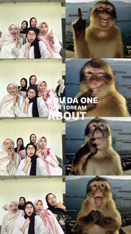 #CapCut monyet fik